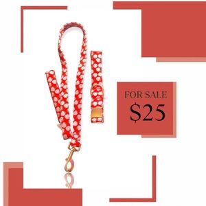 strawberry cute dog leash and collar set. Never used.